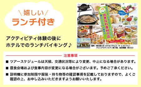 幻の島上陸＋シュノーケリング+竹富島観光ツアー　～珊瑚やカラフルな魚の中をシュノーケリング＜1日／昼食付き／市街地送迎／石垣島発＞【 旅行 体験チケット観光 大自然 体験ツアー 観光 沖縄 アクティビ