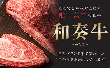 くまもと黒毛和牛 シャトーブリアンステーキ 180g  LIEBE