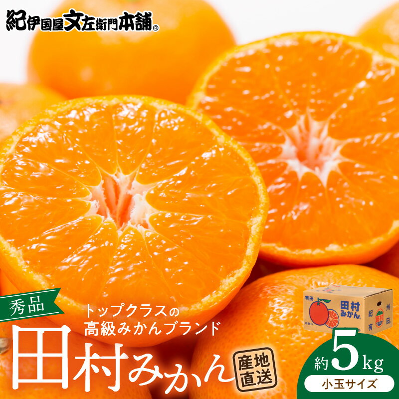 【ふるさと納税】 【限定】 田村みかん 5kg 3S～2S 小玉サイズ 秀品 化学肥料不使用 みかん フルーツ 果物 果実 柑橘 国産 食品 食べ物 産地直送 お取り寄せ 和歌山県 湯浅町 紀伊国屋文左衛門本舗 送料無料