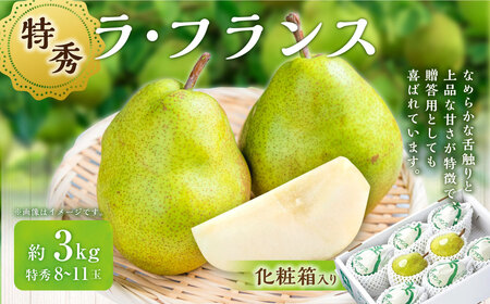 山形県おきたま産 ラ・フランス （特秀） 8玉～11玉 （約3kg） 【化粧箱入り】 山形県産 フルーツ 果物 【2026年11月上旬～12月上旬発送予定】