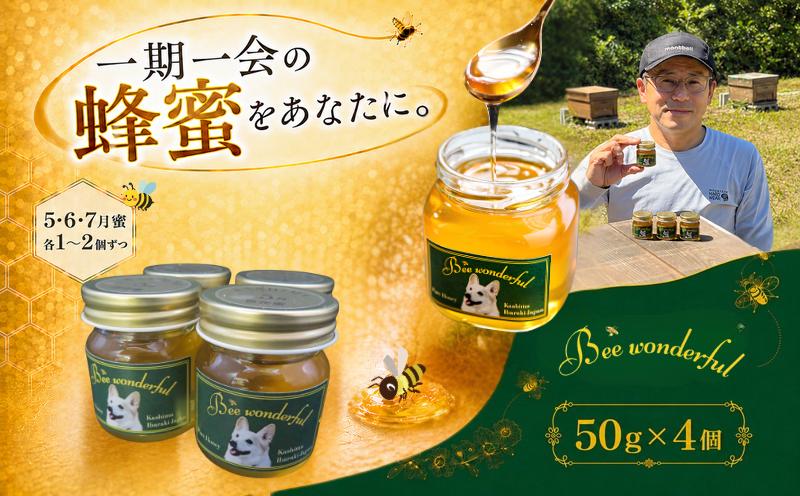 
                  はちみつ 百花蜜 養蜂 自家採蜜 非加熱 無添加 蜂蜜 産地直送 50g×4個 贈答用 贈答 ハニー 国産 プレゼント 一期一会 5月蜜 6月蜜 7月蜜 ギフト 栄養 自然のめぐみ ふるさと納税 茨城県 鹿嶋市 
                