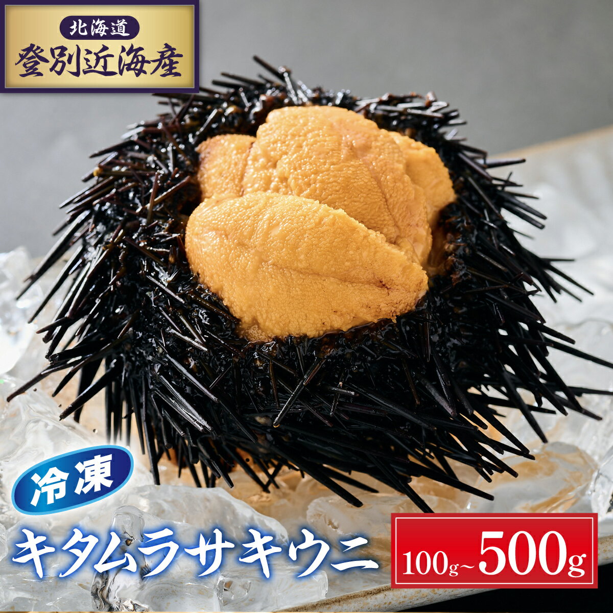 【ふるさと納税】国産 うに 冷凍 うに 北海道 登別近海産 キタムラサキウニ 100g ~ 500g 【6月以降順次発送】| ふるさと納税 うに 雲丹 生うに 海鮮 高級 ウニ 雲丹 キタムラサキウニ ムラサキウニ 北海道 登別 ふるさと 人気 ランキング 送料無料