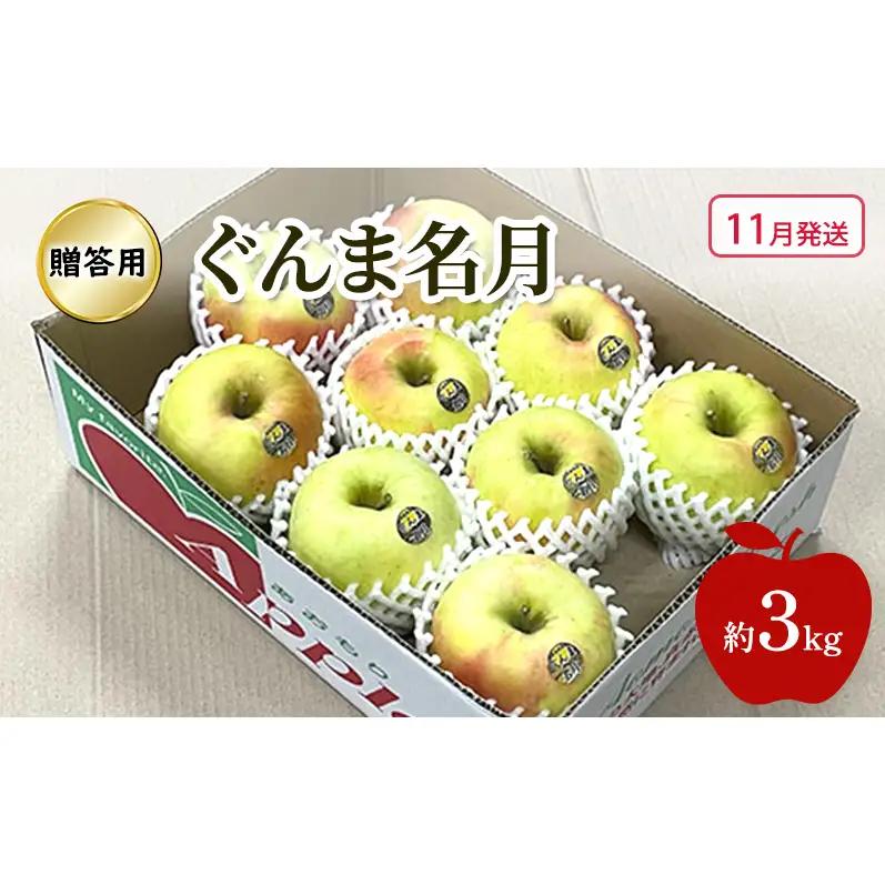 りんごぐんま名月贈答用 青森県産 りんご【約3kg】【11月発送】