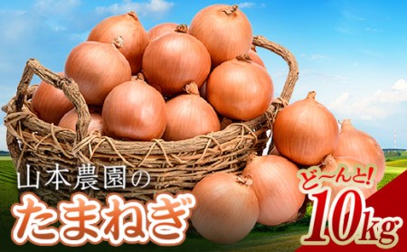 北海道産 南幌町産 たまねぎ 「山本農園のたまねぎ」L大サイズ前後 10kg 送料無料 玉ねぎ タマネギ 玉葱  野菜 食品 北海道 南幌町 NP1-306