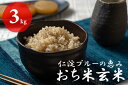 【ふるさと納税】仁淀ブルーの恵み「おち米」（玄米）3kg