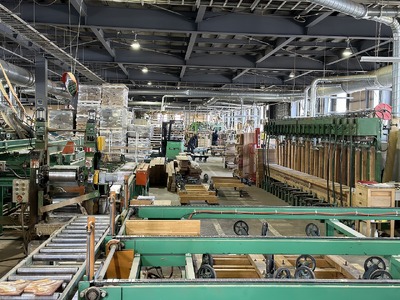 木のぬくもりを感じるスマホスタンド4色セット