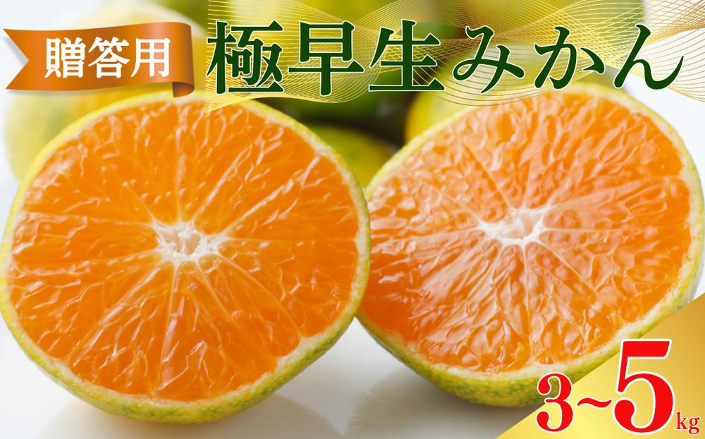 
            【 選べる 】 贈答用 極早生 みかん 3kg 5kg S ・ M ・ L いずれかを揃えてお届け 愛媛みかん 温州みかん 柑橘 愛媛 みかん 蜜柑 ミカン 産地直送 国産 農家直送 糖度 期間限定 数量限定 特産品 ゼリー ジュース アイス 人気 甘い フルーツ 果物 柑橘 ビタミン 健康 美味しい おいしい ジューシー  愛媛県 愛南町 清家ばんかんビレッジ
          