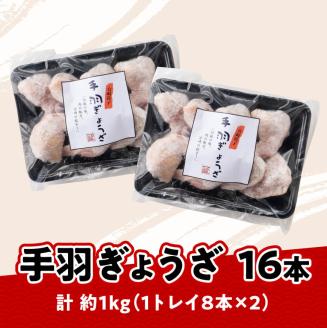 【12ヶ月定期便】宮崎 手羽ぎょうざ 16本 1kg　鶏肉餃子鳥ギョウザ手羽先ぎょうざ手羽餃子ぎょうざギョーザ定期便おつまみ餃子送料無料餃子 [E7214t12]