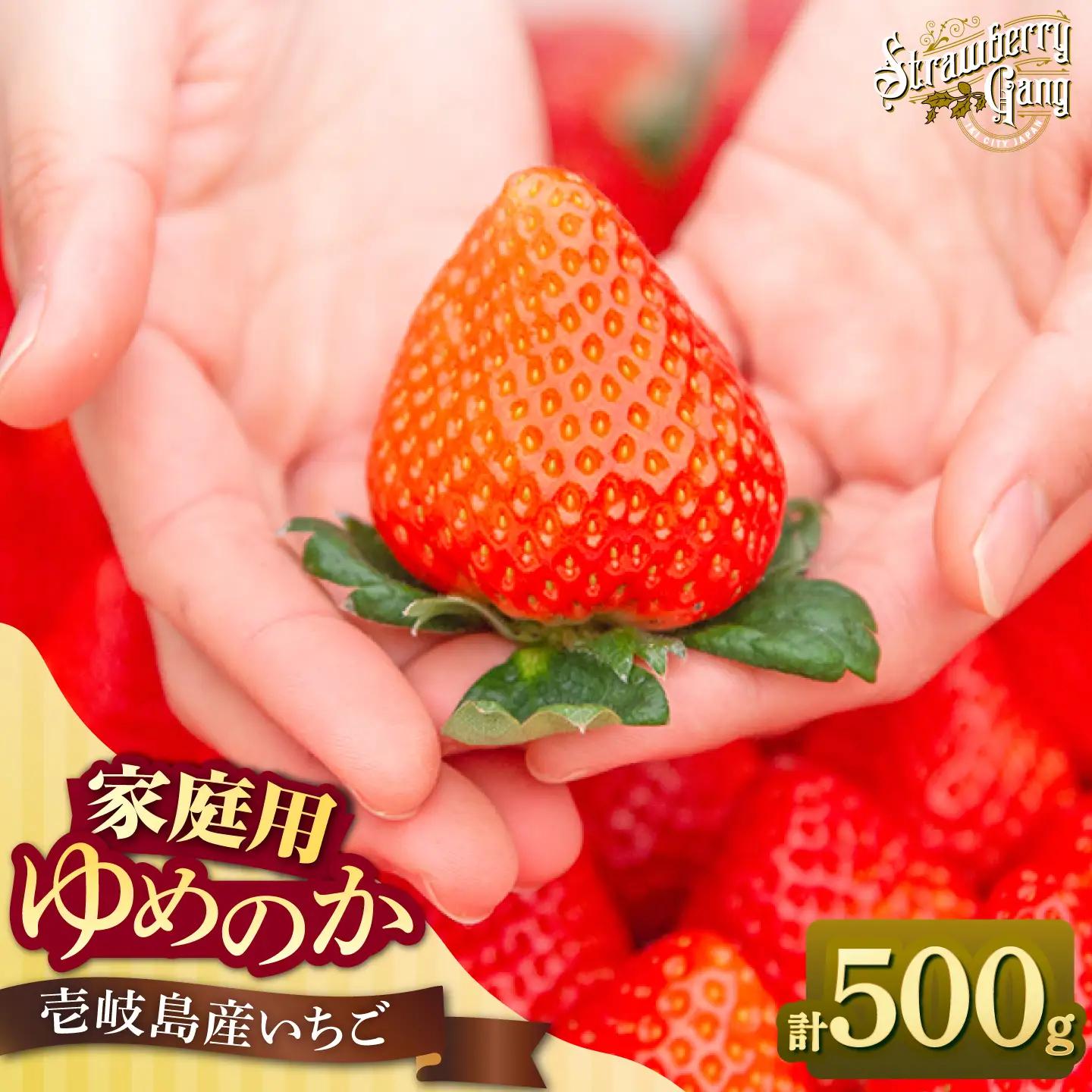 【先行予約】【訳あり/簡易包装】ゆめのか 250g × 2パック【2027年1月以降順次発送】 [JEM006] いちご 苺