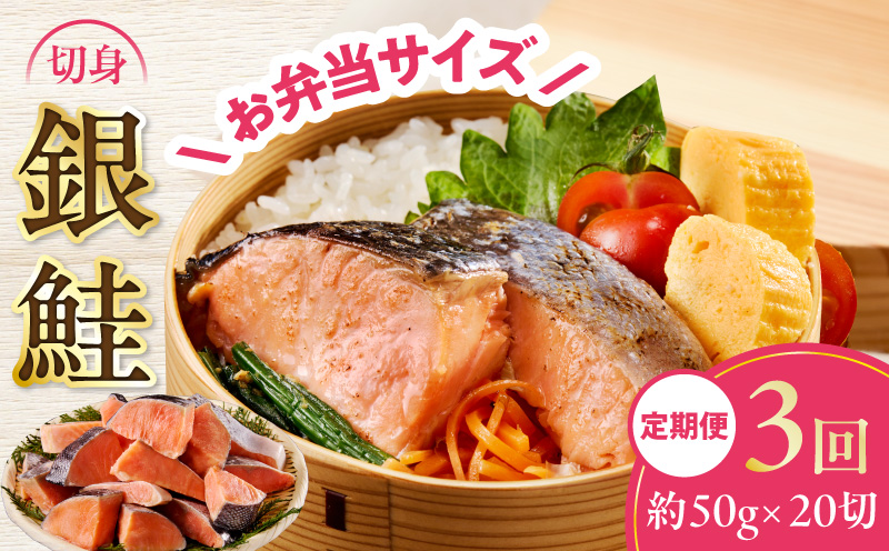 【定期便】銀鮭 切身 約50g×20切れ 全3回【お弁当サイズ 小分け 漁師 手切り 1kg さけ サケ 切り身 弁当 朝食 時短 訳あり サイズ不揃い 規格外 冷凍食品 大阪 泉佐野 大阪府 泉佐野市】
