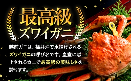 【先行予約】 【2月配送】 越前がに 800ｇ×3杯 小浜市 / まるほ商店 【配送不可地域：北海道・沖縄・離島】[BFCS026-2]