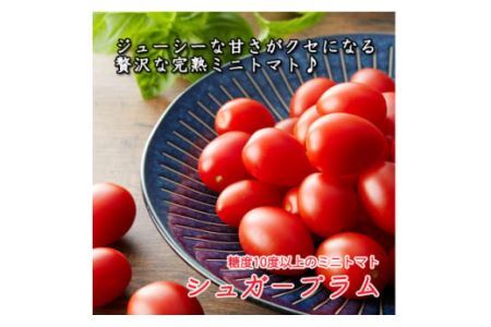 完熟ミニトマト シュガープラムギフト Cセット (500g×2パック、130g×2パック) [0232]