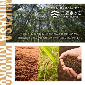 国産のえのきやきのこ使用！濃いきのこの炊き込みご飯の素(2合用×2袋)国産 九州産 鹿児島産 きのこ えのき 炊き込みご飯【三笠えのき茸生産組合】akn010-01