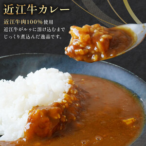 近江牛 カレー 160g×15袋セット ( 黒毛和牛 カレー 牛肉 カレー 2400g レトルト カレー 肉 ギフト 自宅用 カレー 黒毛和牛 カレー 国産 カレー ふるさと納税 カレー ブランド牛 