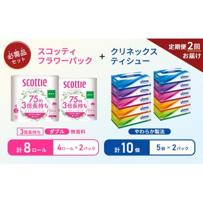 ふるさと納税 岩沼市 【6ヶ月ごと計2回お届け】ティッシュ+トイレットペーパー無香料2P[No.5704-1783] |  | 01