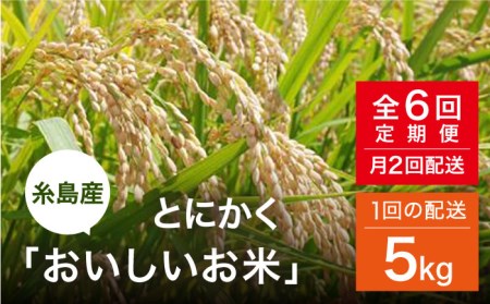 【全6回定期便】とにかくおいしいお米 夢つくし お米 5kg 糸島市 シーブ [AHC022] お米 5kg 送料無料 ギフト おこめ 5キロ 米 定期便