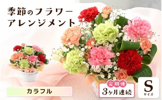 定期便 ≪3ヶ月連続お届け≫ 選べるカラー 季節のフラワーアレンジメント S ( カラフル) 【お花 フラワー アレジメント 花束 ギフト 生花 プレゼント 花束 花 記念日 敬老の日 お祝い】 [B-20702_03] 