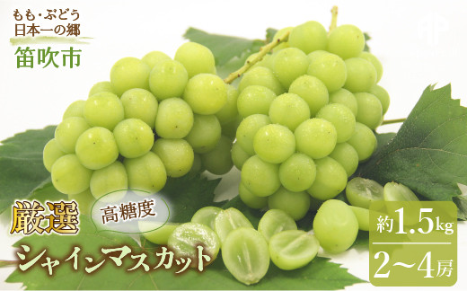 
                  【2026年発送★先行予約】笛吹市産　シャインマスカット　約1.5kg（2～4房） 205-007ｰ26y
                