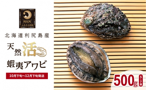 北海道利尻島産 天然〈活〉蝦夷アワビ500g（5～7個）【10月下旬～12月下旬発送】