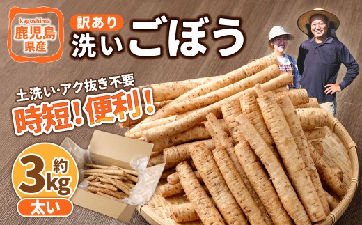 鹿児島県産 洗い【太い】 ごぼう 約3kg 【規格外・訳あり品】【2026年12月上旬-3月下旬発送予定】 ZS-9100