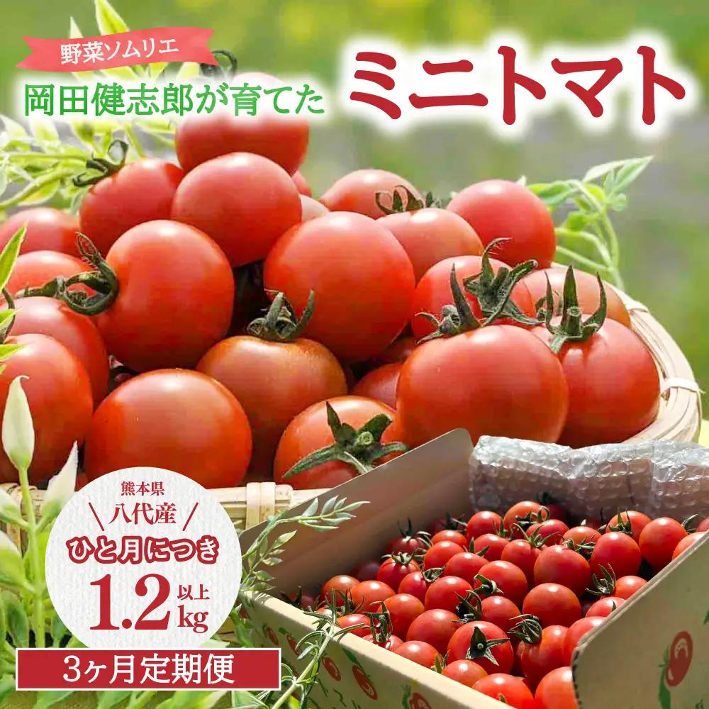 トマト 【先行予約】 【定期便3回】 野菜ソムリエ 岡田健志郎が育てた ミニトマト 1.2kg以上【2026年12月上旬より順次発送】 トマト
