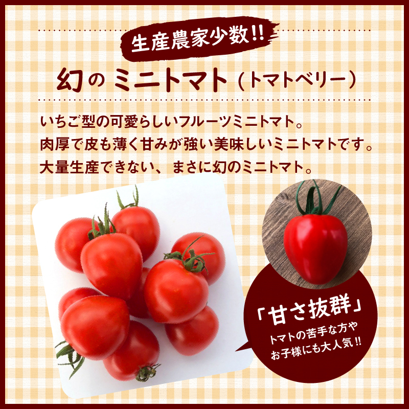 【2026年度予約分】甘さ抜群!トマト嫌いでも食べられるトマトベリー 約1.6kg 野菜ソムリエサミット 金賞 受賞 長田農園 産地直送 トマト とまと 野菜 やさい フルーツ サラダ 濃厚 甘い ご