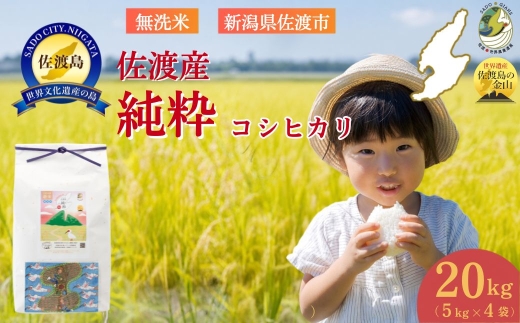 【令和8年産】佐渡産コシヒカリ 無洗米20kg（5kg×4袋）数量限定 送料無料 | 新潟県産コシヒカリ 新潟産コシヒカリ 佐渡産コシヒカリ 新潟県産こしひかり 佐渡産こしひかり お米 米 こしひかり 無洗米 むせんまい 精米 おこめ コメ 20キロ 大容量 にいがた さど 新潟県 佐渡市