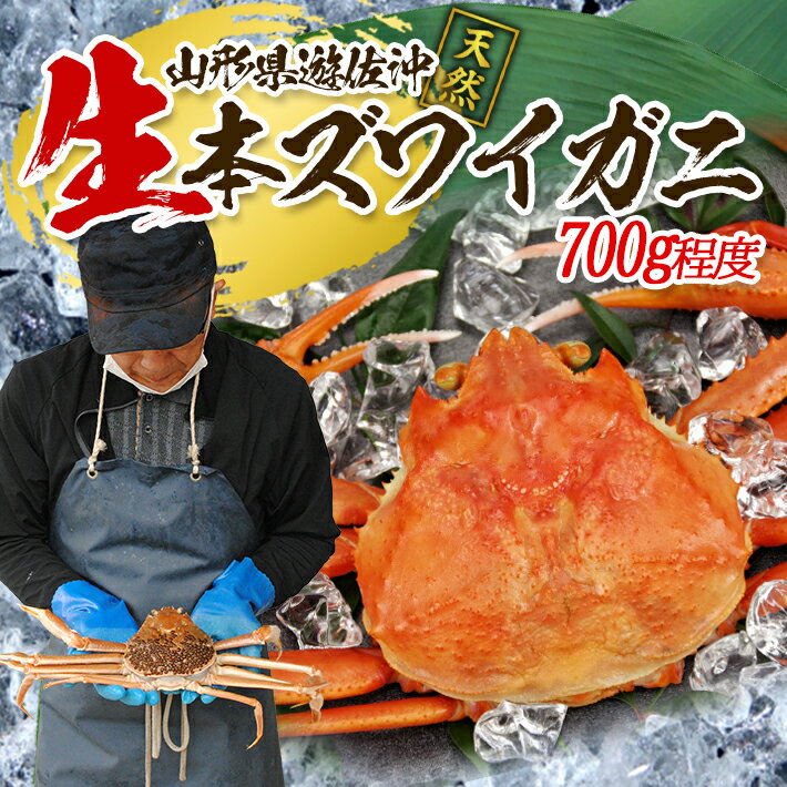【ふるさと納税】春の生・本ズワイガニ 1匹 700g程度 遊佐沖 2026年1月上旬～3月下旬頃順次発送 冷蔵便 ※着日指定・離島（沖縄県を含む）発送不可 東北 山形県 庄内地方 日本海 カニ 蟹 かに 海産物 シーフード 海鮮 新鮮 鮮魚 まるごと 生食 刺身 ボイル 焼き 期間限定