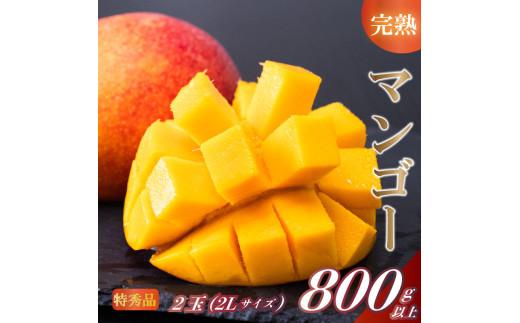 【202505_父の日】【早期予約】《2025年5月中旬から発送》マンゴー 特秀品 2玉(2L) 800g以上 果物 完熟 フルーツ 完熟マンゴー 期間限定 ギフト 贈答用 ふるさと納税マンゴー ご褒