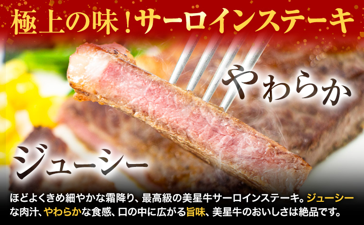 【お試し2回定期便】美星牛 お肉の定期便 サーロインステーキ 肩ローススライス しゃぶしゃぶ用 ハレノヒ良品《お申込み月の翌月から発送》 岡山県 浅口市 肉 和牛 国産 牛肉 サーロイン 牛ロース し