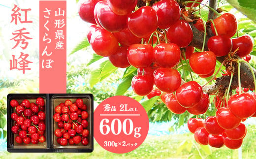 さくらんぼ 「紅秀峰」2Lサイズ以上 秀品 600g（300g×2） 化粧箱入り 【2025年6月中旬頃〜7月上旬頃発送予定】／ 2025年産 令和7年産 山形産 山形県産 お取り寄せ グルメ フルーツ 果物 果実 くだもの サクランボ 特産 東北 山形　024-A-SW001