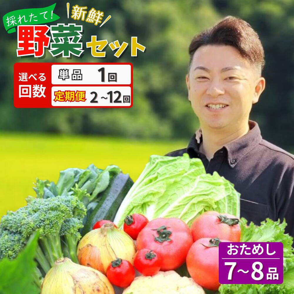野菜 お試し 野菜セット お楽しみ 旬 新鮮 詰め合わせ 7～8品 果物 フルーツ ギフト 直送 農家 おまかせ お取り寄せ 産直直送 産直 冬 春 サラダ 詰合せ りんご きのこ