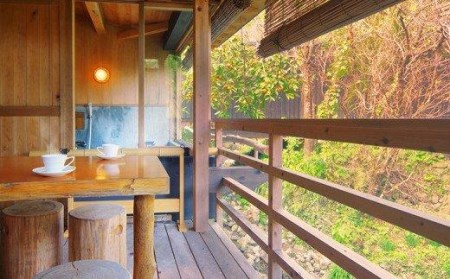 温泉 宿泊 利用券 30,000円分 そうだ山温泉 千年の美湯 宿泊代 食事代 日帰り温泉 入浴料 旅行 宿 旅 高知県 須崎市