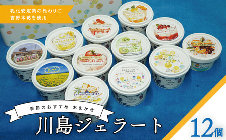 ジェラート  詰め合わせ おまかせ 12個 セット 120ml 川島ジェラート ジェラート ジェラート ジェラート ジェラート ジェラート