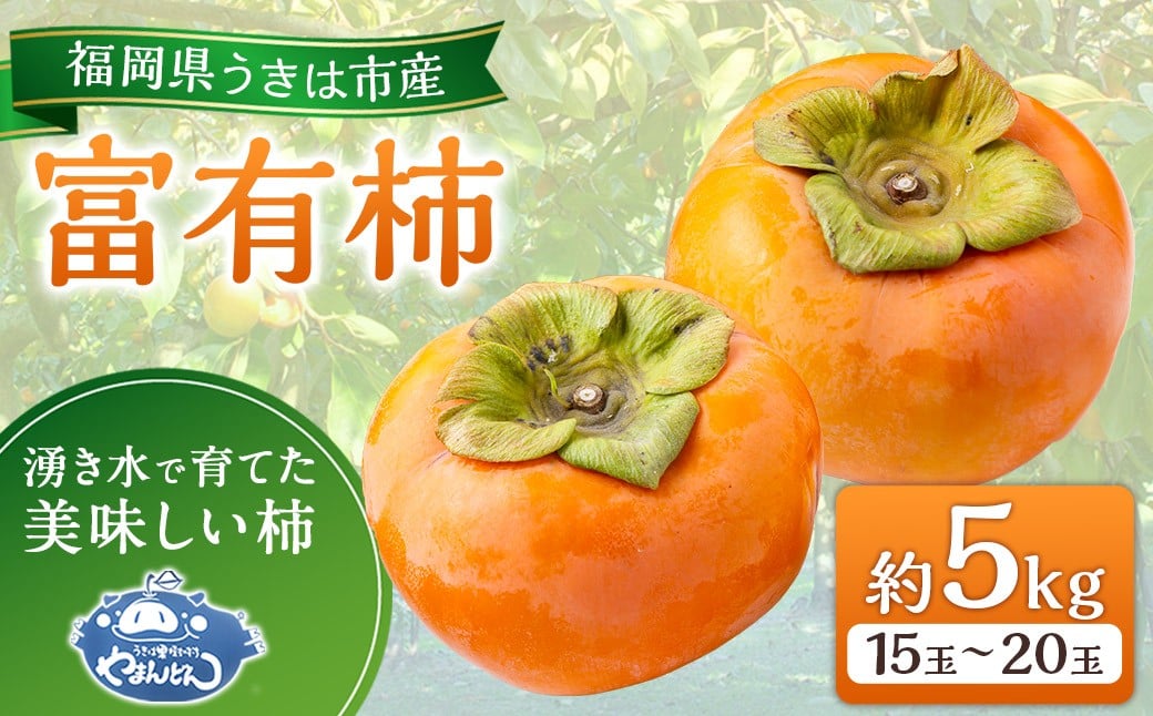 
            【先行予約】やまんどん 富有柿 15玉から20玉 2025年11月下旬から12月上旬 出荷予定
          