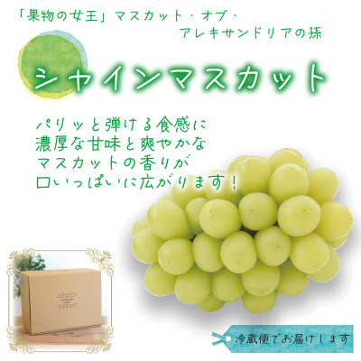 【2026年先行受付】岡山　花笑み農園の『食べ比べ4種』シャイン入り　家庭用　2kg(4房)4M-2【配送不可地域：離島】