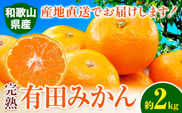みかん 完熟有田みかん 約 2kg 有田マルシェ《11月中旬-1月上旬頃出荷》和歌山県 日高町 みかん 有田 みかん 柑橘 フルーツ 完熟 ミカン 蜜柑