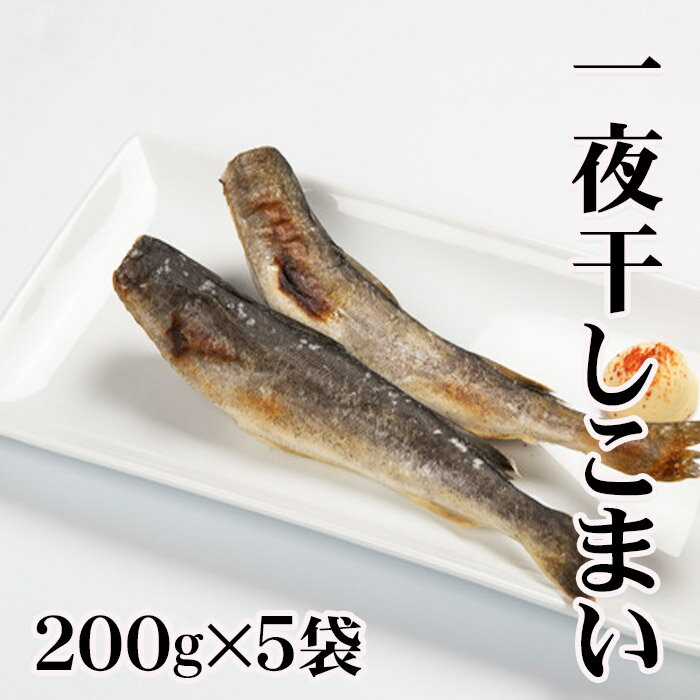 【ふるさと納税】 [北海道根室産] 一夜干しこまい200g×5袋 コマイ 氷下魚 カンカイ さかな 魚 サカナ 干物 珍味 おつまみ 生干し 北海道 根室市 ふるさと納税 A-30012