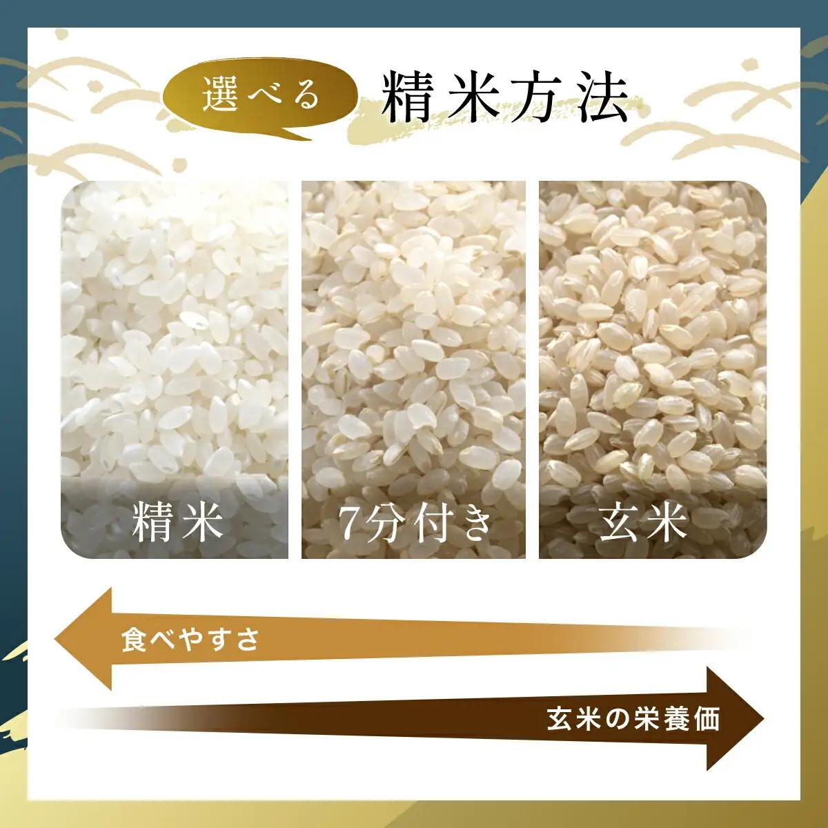 米 精米 令和8年産 先行予約 やくの自然栽培米 亀の尾 7分づき 10kg ゆたか（ゆたか自然農園）