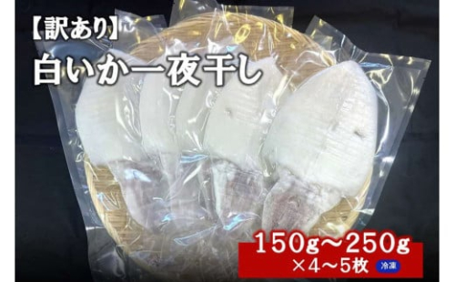 【訳アリ】白いか一夜干し　（１５０ｇ～２５０ｇｘ４～５枚） 訳アリ 小分け いか 白いか 無添加 個包装 一夜干し 産地直送 【1962】