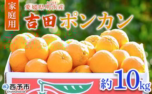 ＜愛媛県明浜産 吉田ポンカン 家庭用 約10kg＞ 果物 くだもの フルーツ みかん ミカン 柑橘 吉田ぽんかん よしだぽんかん ヨシダポンカン 訳あり ご自宅用 特産品 愛媛県 西予市【常温】