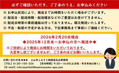 かみのやまシュー　１０個　0048-2505