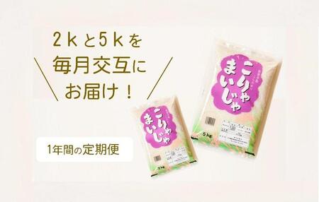 【復興支援】【12回定期便】お米2kgと5kgが交互に1年間届く！こりゃまいじゃ精米(奥能登柳田地区限定コシヒカリ)
