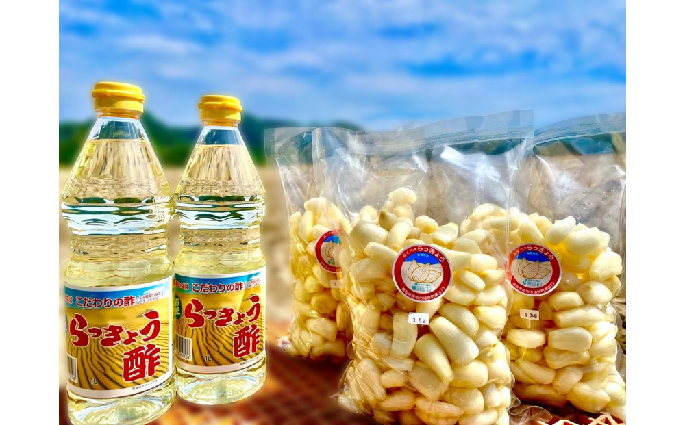橋本さんちの生洗いらっきょう 3kg (らっきょう酢付)