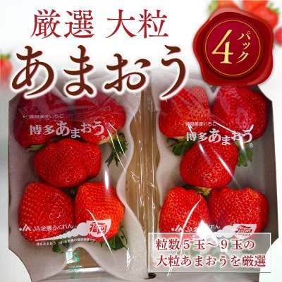 【2027年2月より順次発送】厳選大粒あまおう(約250-270g×4パック)(宇美町)【配送不可地域：離島】