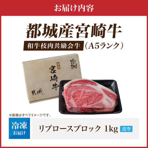【和牛枝肉共励会牛】(A5)宮崎牛リブロースブロック1kg_AF-25-002_(都城市) 宮崎県 宮崎牛 リブロース 1000g ブロック肉 真空 品評会出展牛 特別セット