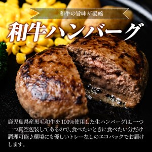 a841 鹿児島県産黒毛和牛100％生ハンバーグ（150g×8個）【水迫畜産】