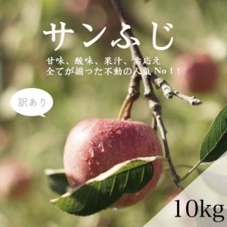 【家庭用】藤崎町産りんご　サンふじ約10kg(26～40個)【配送不可地域：離島・沖縄県】