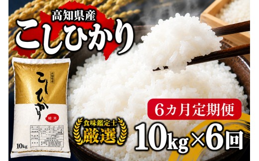 令和8年産 新米 コシヒカリ 定期便 10kg 6回 8月中旬発送開始 農家直送 高知県産 清流 新荘川流域 清流育ち 早場米 白米 精米 お米 おこめ ご飯 ごはん おにぎり こめ 食味鑑定士 国産 産地直送 高知県 須崎市