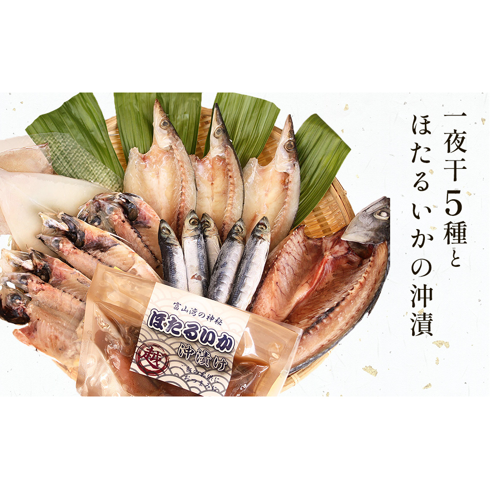 氷見 堀与 一夜干5種とほたるいかの沖漬 富山県 氷見市 干物 詰め合わせ 食べ比べ セット ホタルイカ